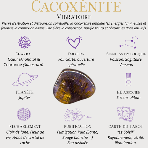 Bracelet sur mesure_7 Chakras Prémium