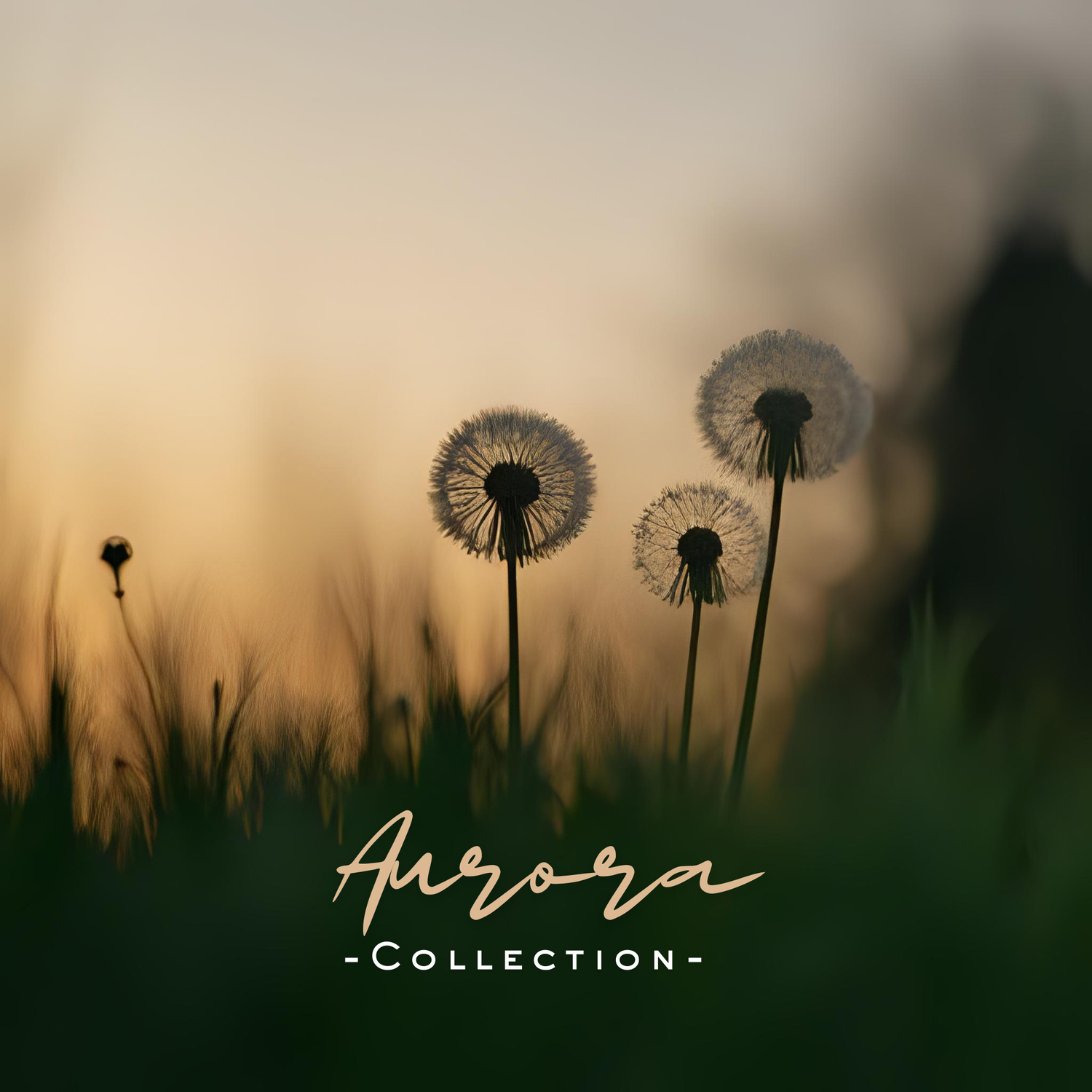 Collection_"AURORA"