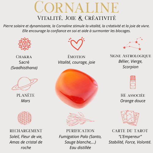 Pendentif arbre de vie 30 mm_7 Chakras