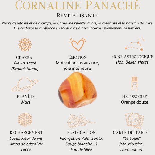 Bracelet sur mesure_7 Chakras Prémium